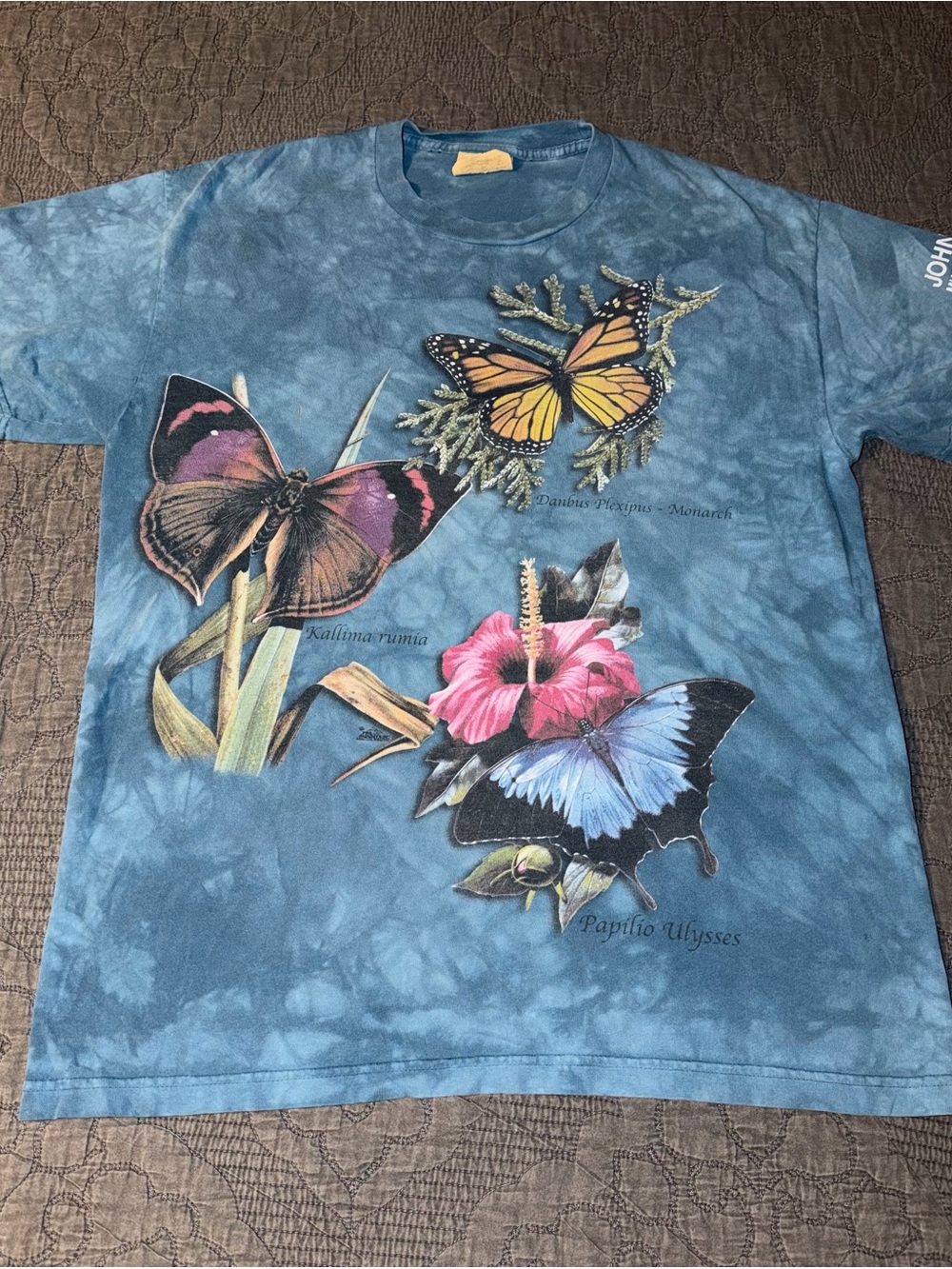 *Vintage 2000s* The Mountain-Butterfly T-Shirt:Tie Dye-Blue Size-L